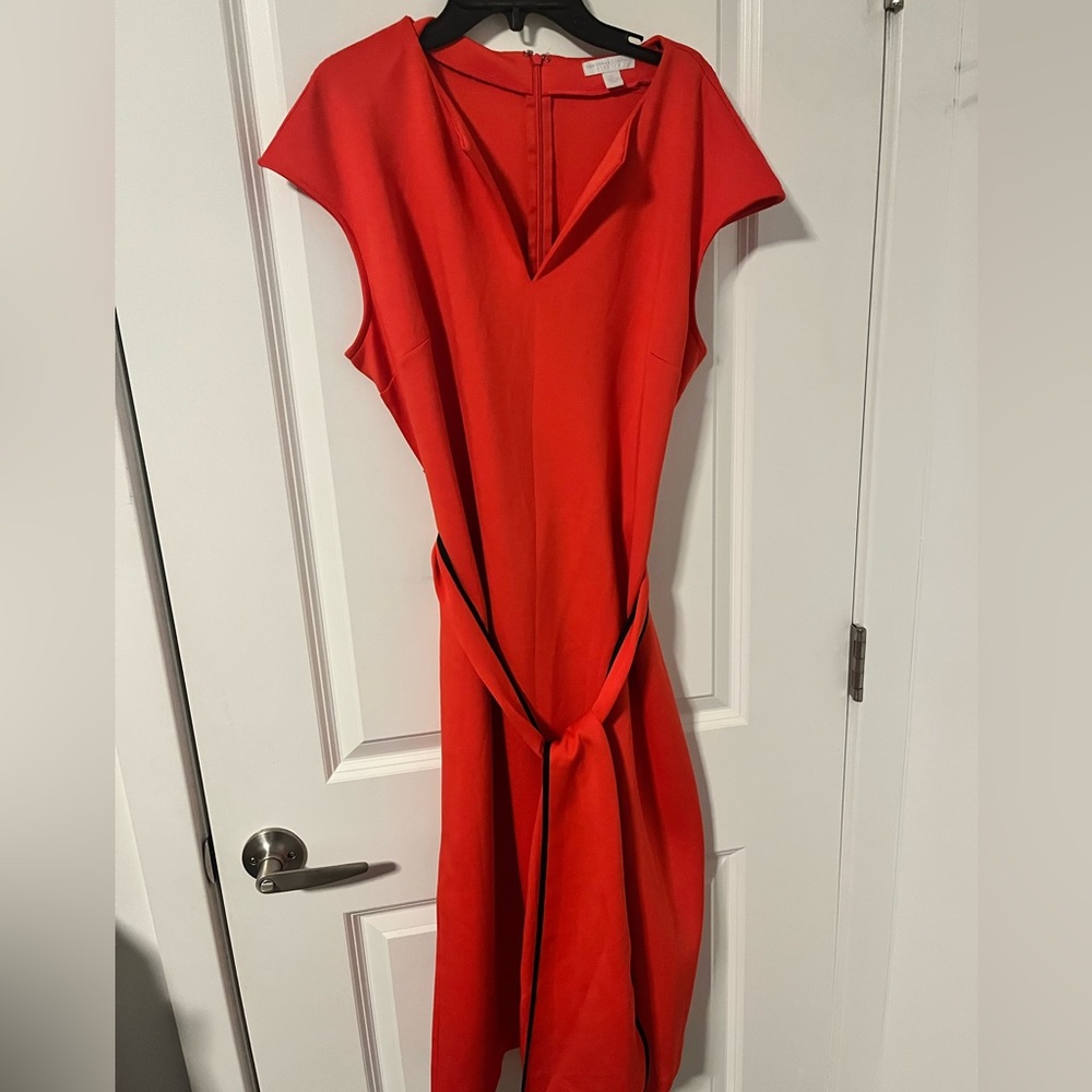 New York & Co, Shift Dress w Belt